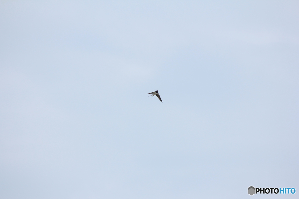 撮って出し(2025-04-18_09-18)-(Canon EOS 60D-2