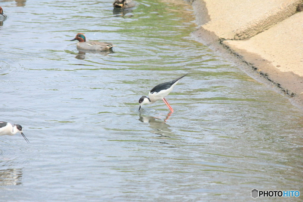 撮って出し(2025-04-27_12-32)-(Canon EOS 60D-2