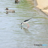 撮って出し(2025-04-27_12-32)-(Canon EOS 60D-2