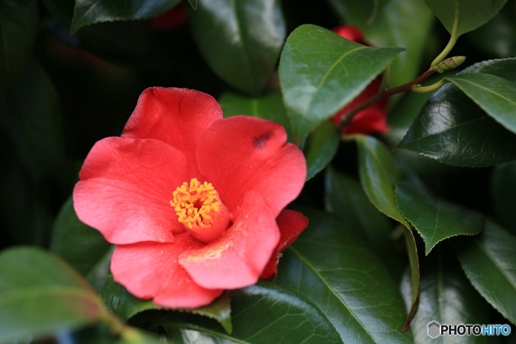 撮って出し-Canon EOS 6D-90.0-41_04_13-0