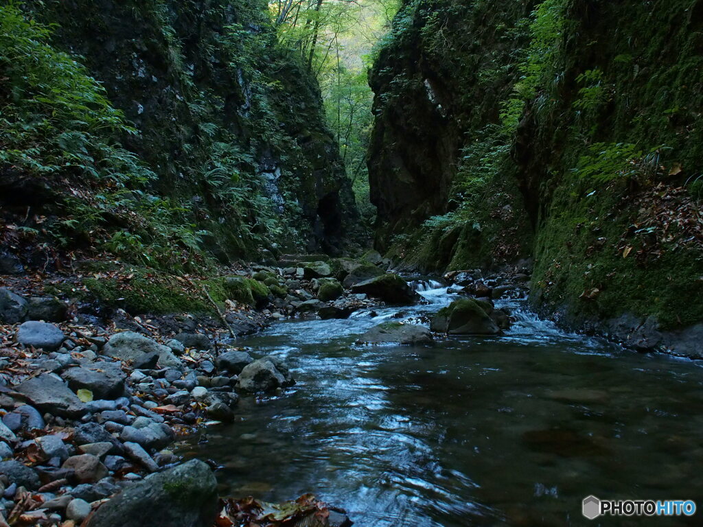 撮って出し-E-M5-14.0-22_10_26-0