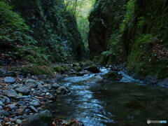 撮って出し-E-M5-14.0-22_10_26-0