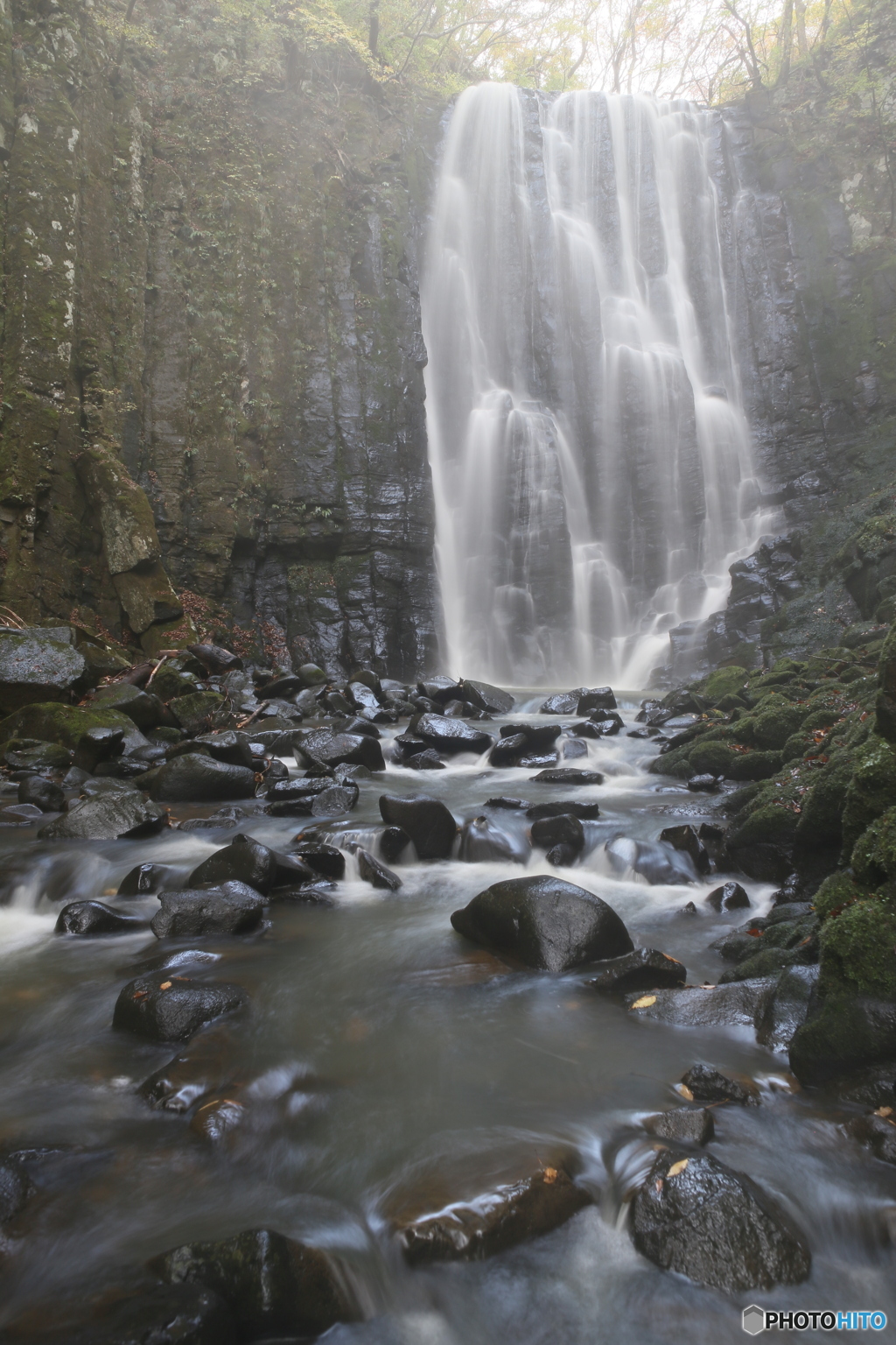 撮って出し(2024-10-30_09-19)-(Canon EOS 6D-24