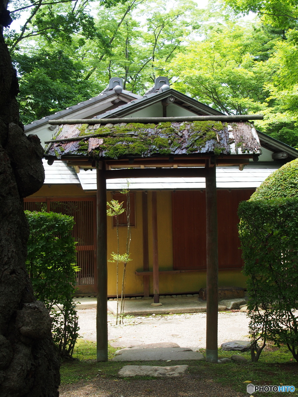 撮って出し-E-M5-25.0-23_06_18-0