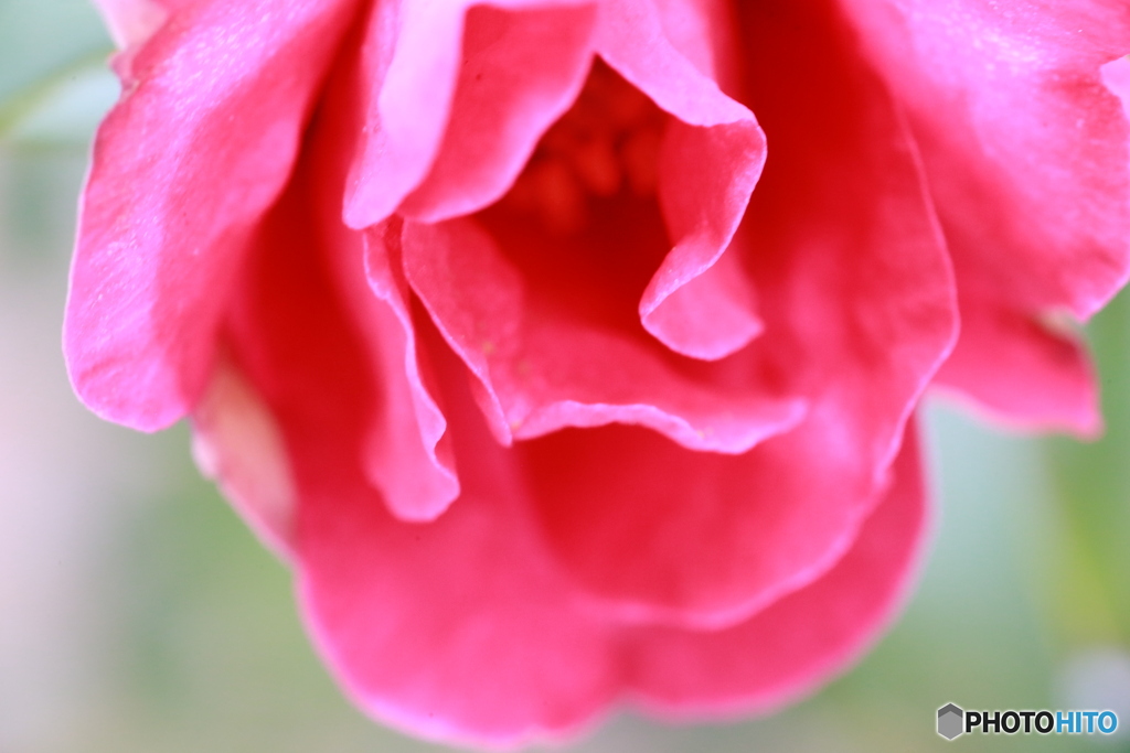 撮って出し-Canon EOS 6D-90.0-41_02_18-1