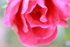 撮って出し-Canon EOS 6D-90.0-41_02_18-1