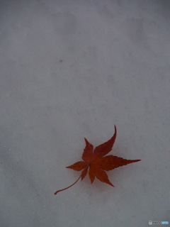 撮って出し-E-M5-150.0-40_12_03-0