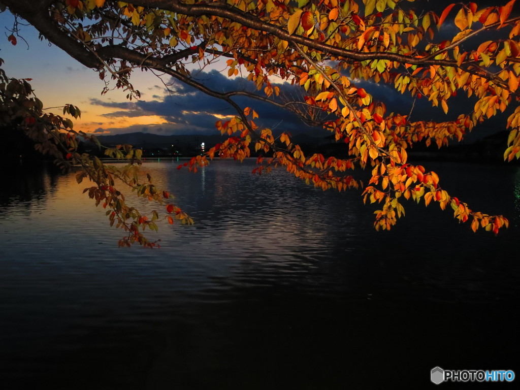 曇り空の間から見えるの朝焼けと紅葉