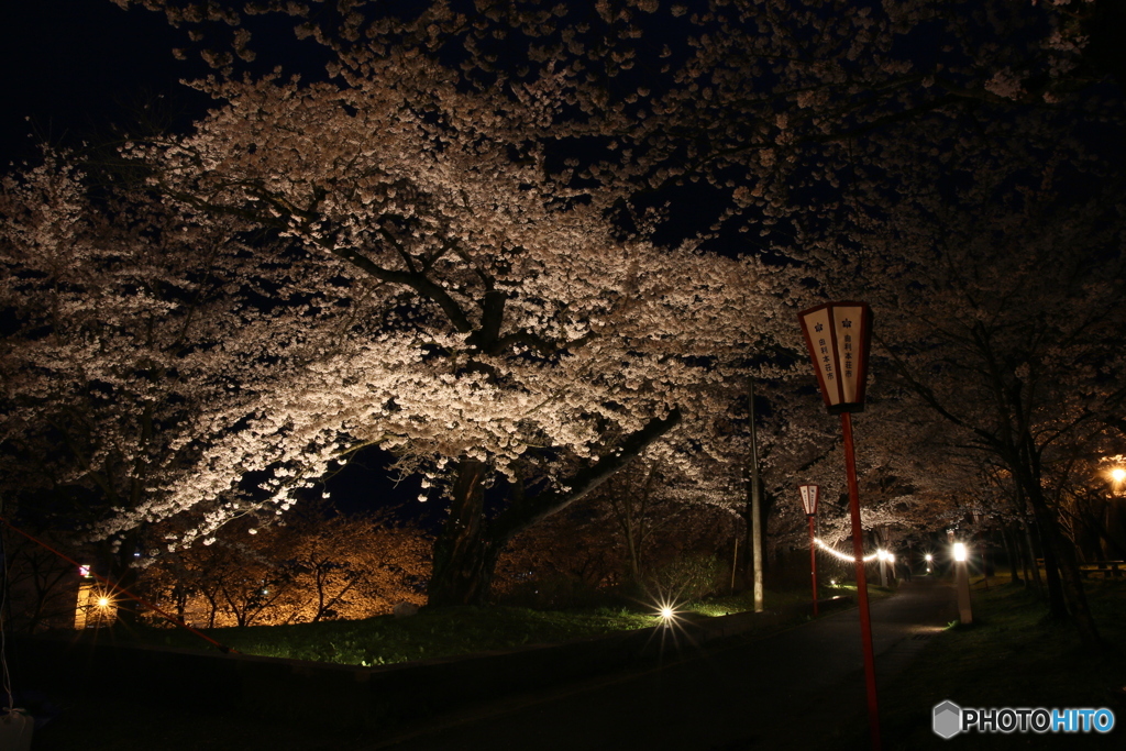 撮って出し(2025-04-18_18-57)-(Canon EOS 6D-0(