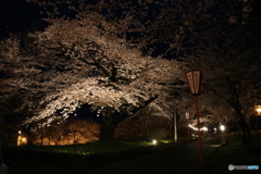 撮って出し(2025-04-18_18-57)-(Canon EOS 6D-0(