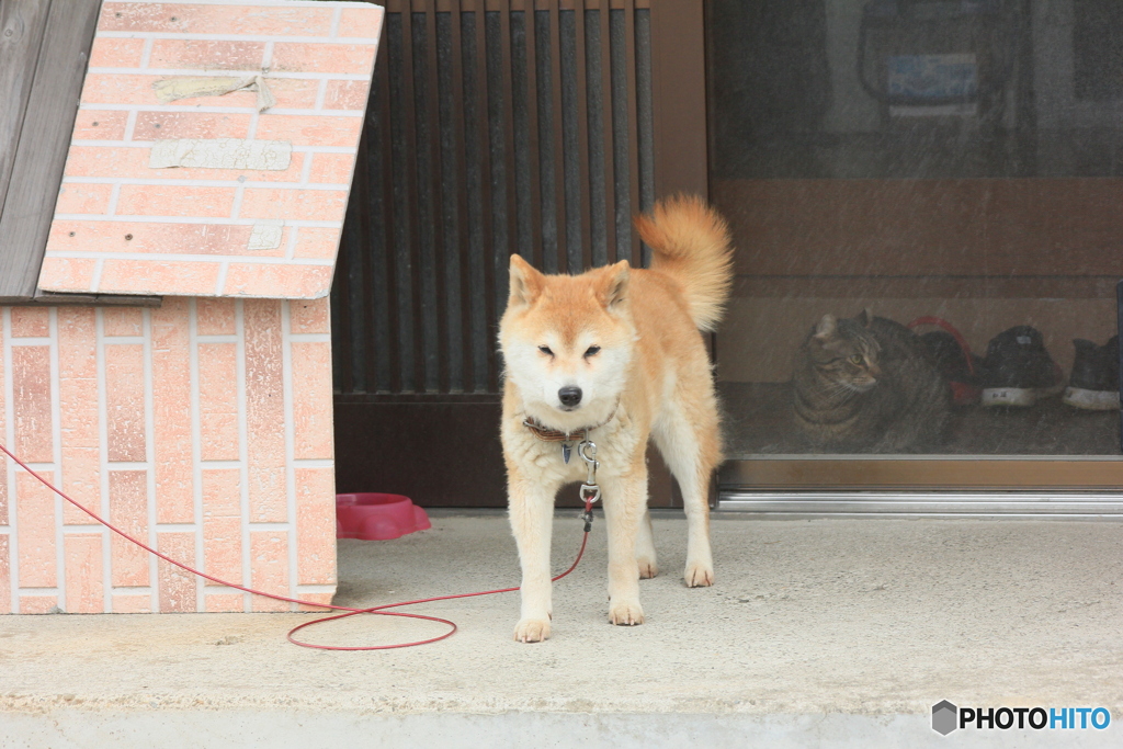 撮って出し(2025-05-09_15-36)-(Canon EOS 60D-1
