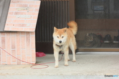 撮って出し(2025-05-09_15-36)-(Canon EOS 60D-1