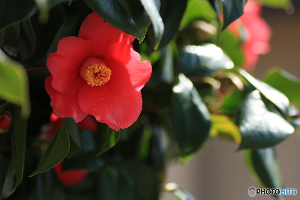 撮って出し-Canon EOS 60D-90.0-41_03_27-16