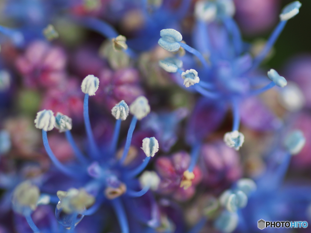 撮って出し-E-M5-0.0-23_06_23-12