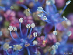 撮って出し-E-M5-0.0-23_06_23-12