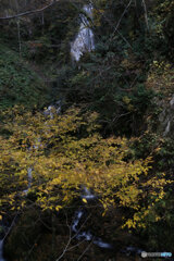 撮って出し(2025-11-07_13-03)-(Canon EOS 6D-24