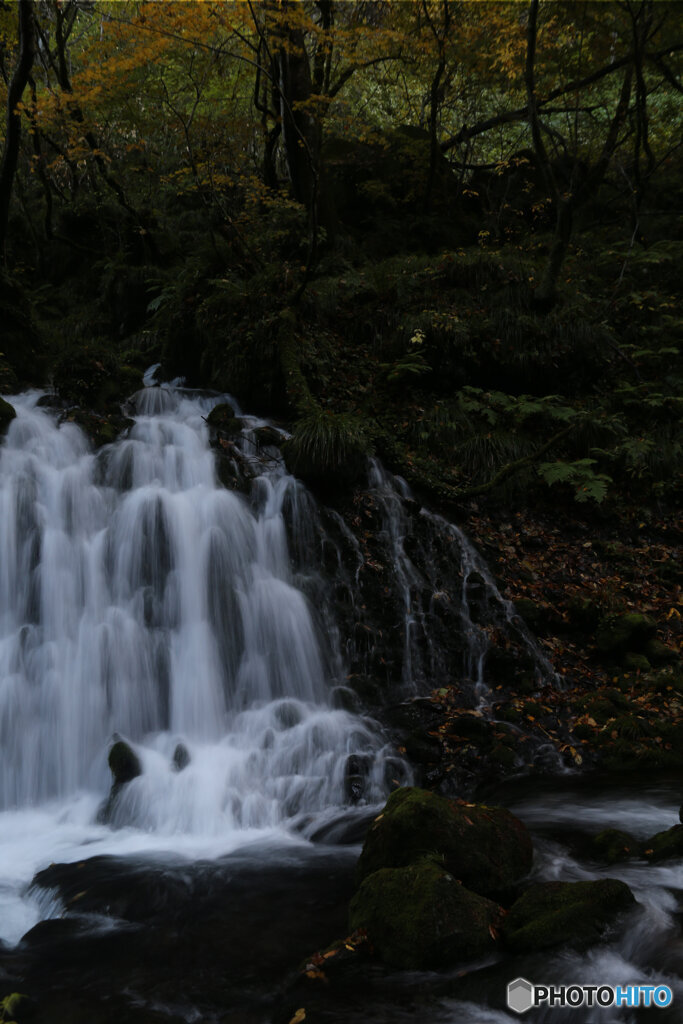 撮って出し(2025-11-04_07-07)-(Canon EOS 6D-28