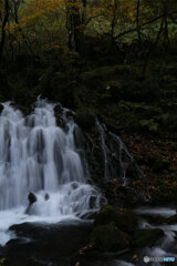 撮って出し(2025-11-04_07-07)-(Canon EOS 6D-28