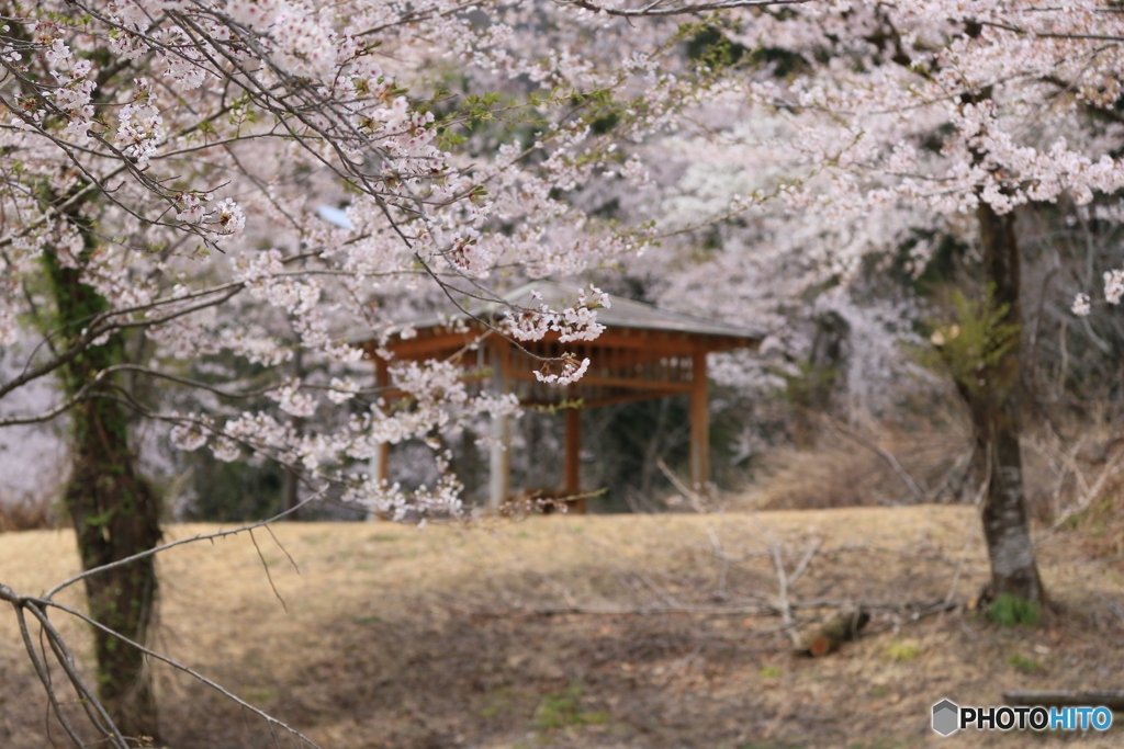 撮って出し-Canon EOS 6D-135.0-41_04_24-10