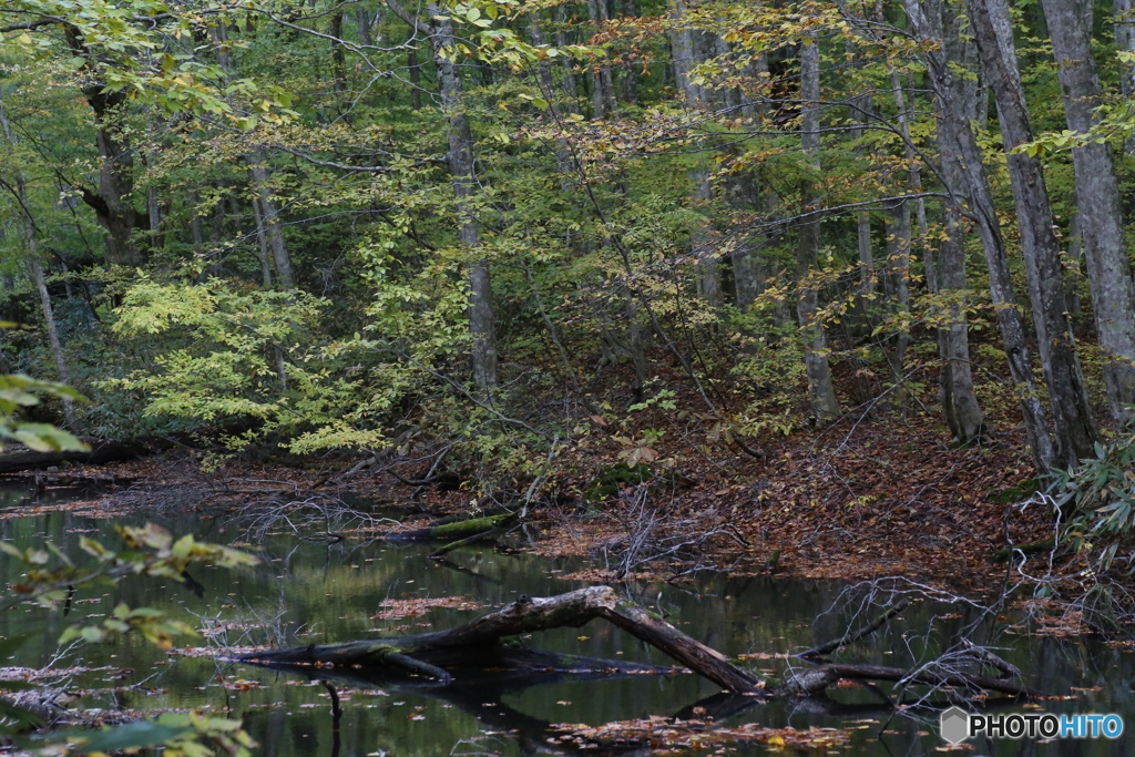 撮って出し(2025-10-27_06-40)-(Canon EOS 6D-90