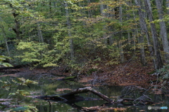 撮って出し(2025-10-27_06-40)-(Canon EOS 6D-90