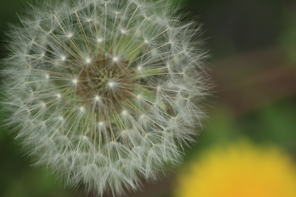 撮って出し(2025-05-06_15-22)-(Canon EOS 60D-3