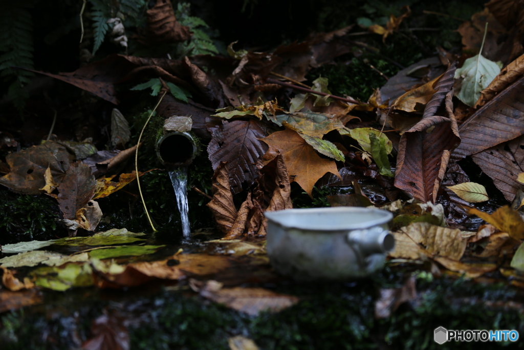 撮って出し(2025-11-07_12-04)-(Canon EOS 6D-85