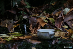 撮って出し(2025-11-07_12-04)-(Canon EOS 6D-85