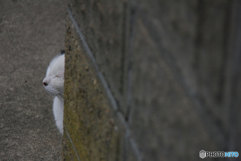 撮って出し-Canon EOS 60D-200.0-41_04_18-5