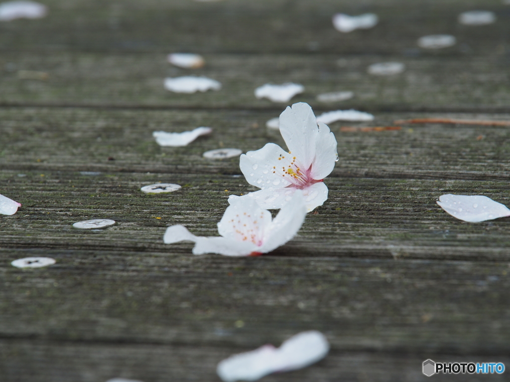 撮って出し-E-M5-150.0-41_04_06-0