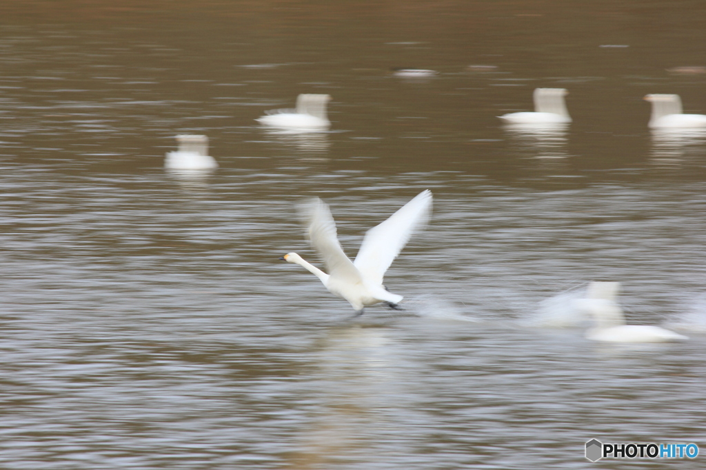 撮って出し(2024-12-15_08-18)-(Canon EOS 60D-2