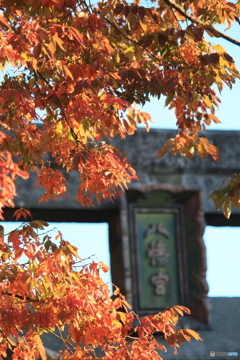 撮って出し-Canon EOS 60D-131.0-22_10_25-0