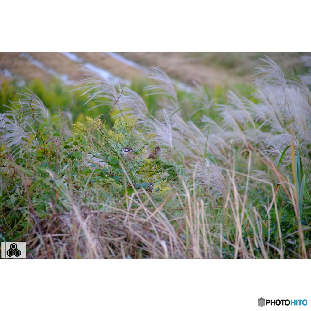 撮って出し(2023-10-12_15-28)-50--X-E1_1