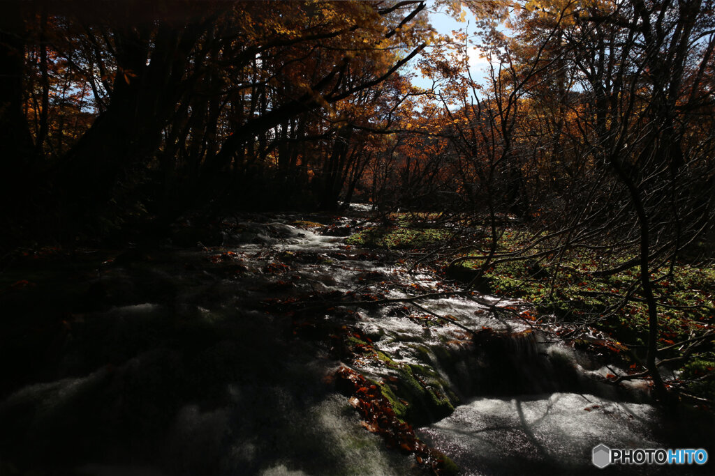 撮って出し(2025-11-04_10-16)-(Canon EOS 6D-24