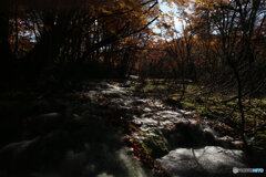 撮って出し(2025-11-04_10-16)-(Canon EOS 6D-24