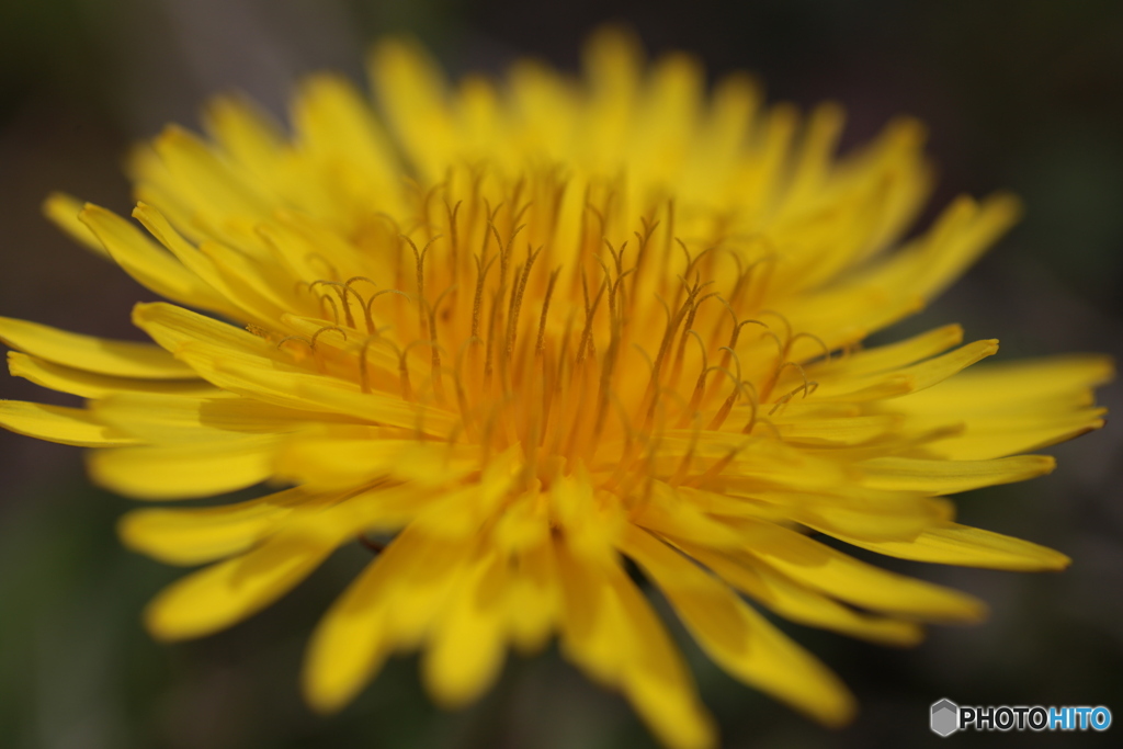 撮って出し(2024-04-18_11-45)-(Canon EOS 6D-90