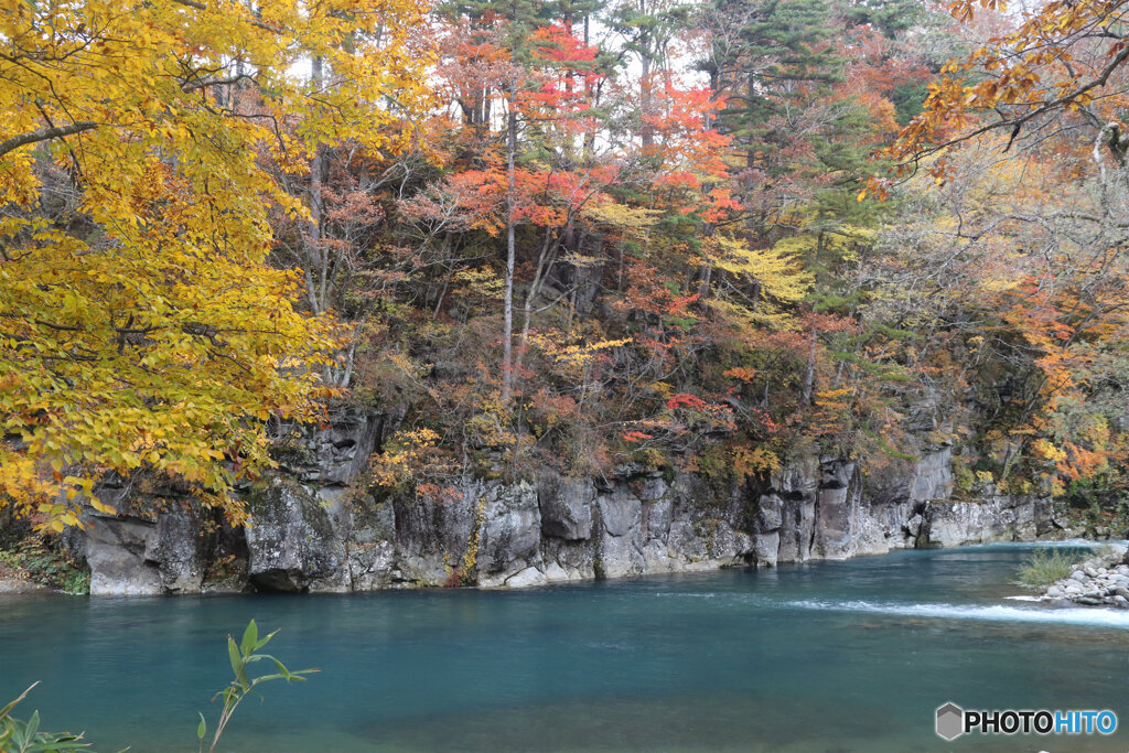 撮って出し(2025-11-04_13-00)-(Canon EOS 6D-33