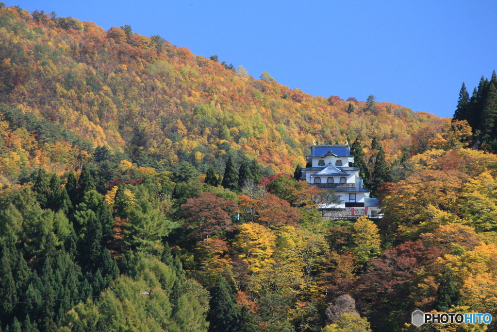 撮って出し-Canon EOS 60D-214.0-22_10_31-0