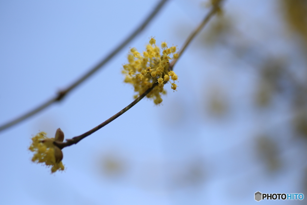 撮って出し(2025-04-07_12-02)-(Canon EOS 6D-90