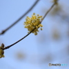 撮って出し(2025-04-07_12-02)-(Canon EOS 6D-90