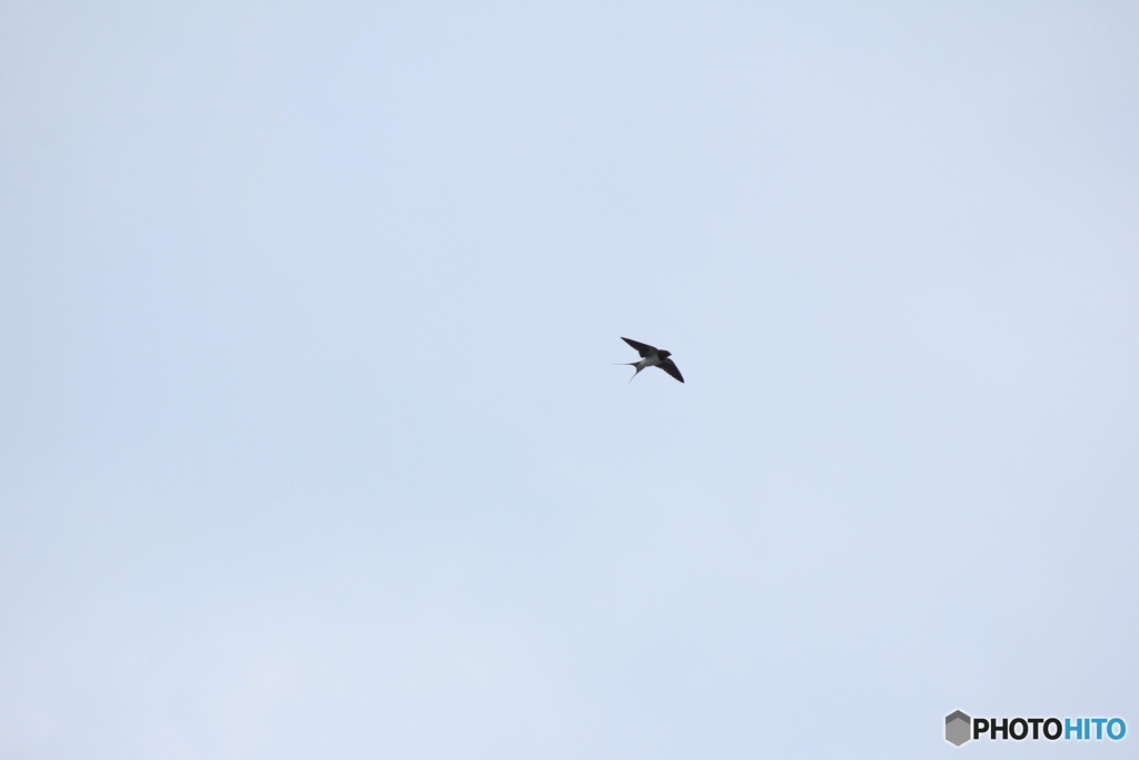 撮って出し(2025-04-18_09-13)-(Canon EOS 60D-2