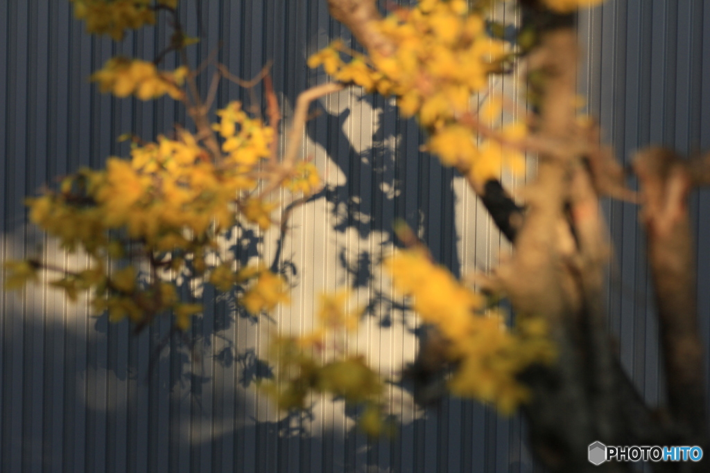 撮って出し-Canon EOS 60D-90.0-41_03_30-11