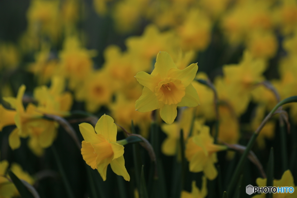 撮って出し-Canon EOS 6D-90.0-41_04_13-4