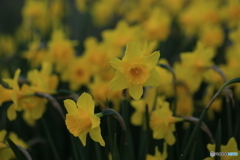 撮って出し-Canon EOS 6D-90.0-41_04_13-4