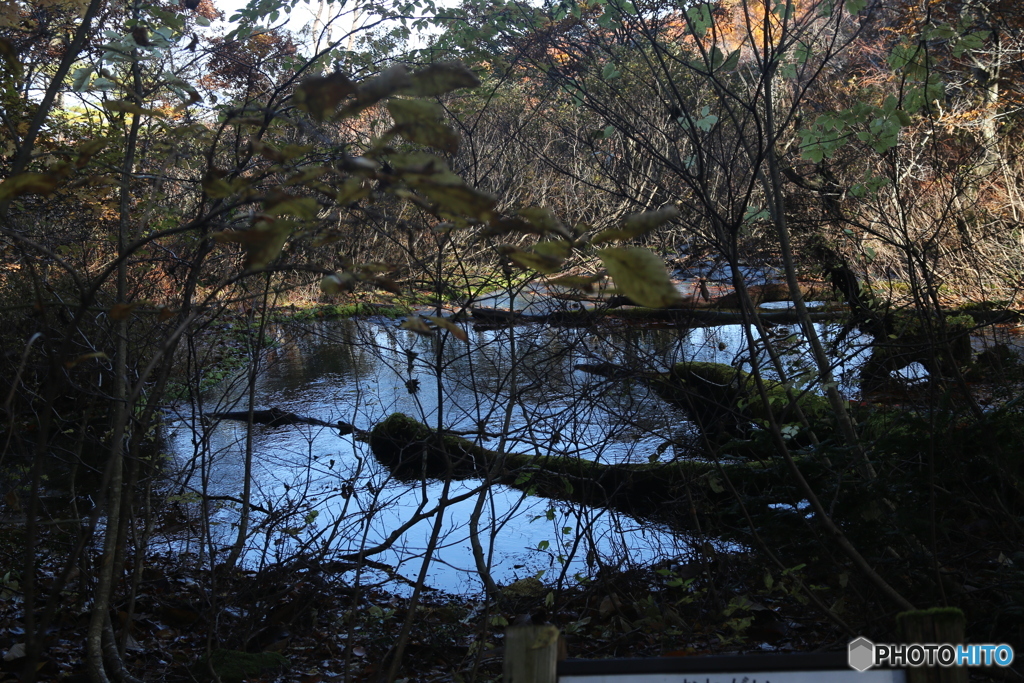 撮って出し(2025-11-04_09-26)-(Canon EOS 6D-47