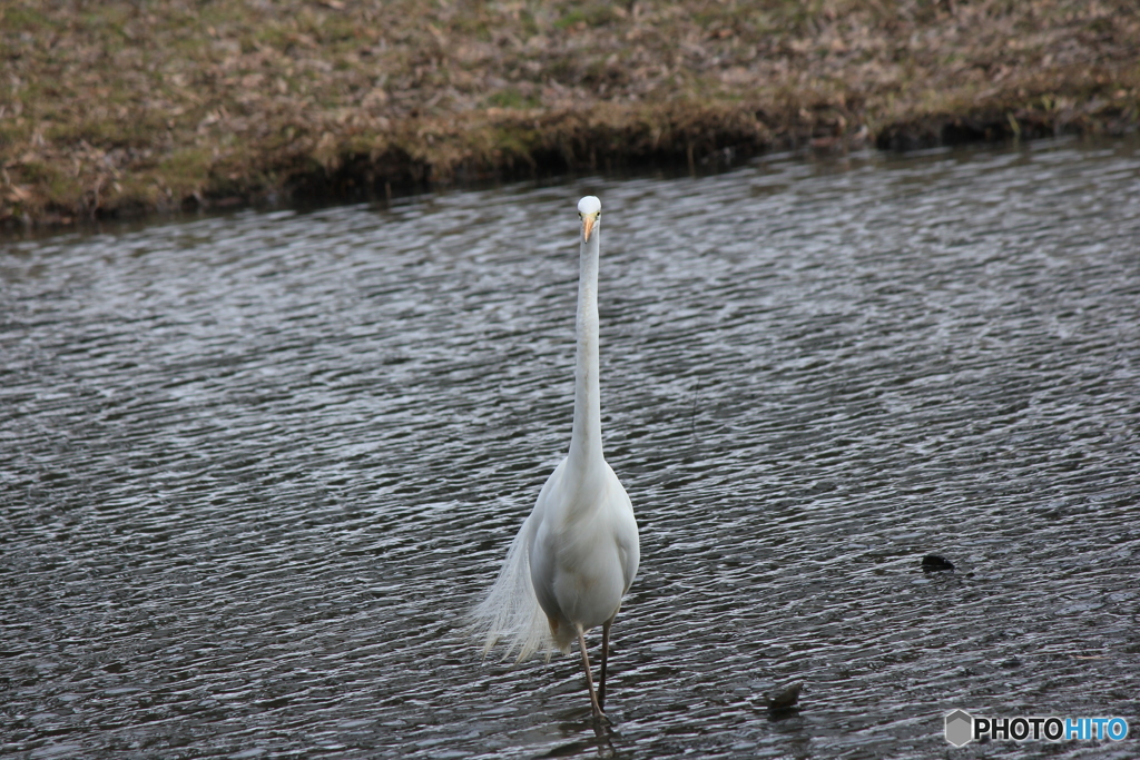 撮って出し(2025-03-03_13-13)-(Canon EOS 60D-2
