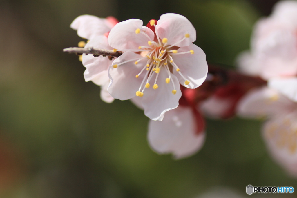 撮って出し-Canon EOS 60D-90.0-41_03_27-6