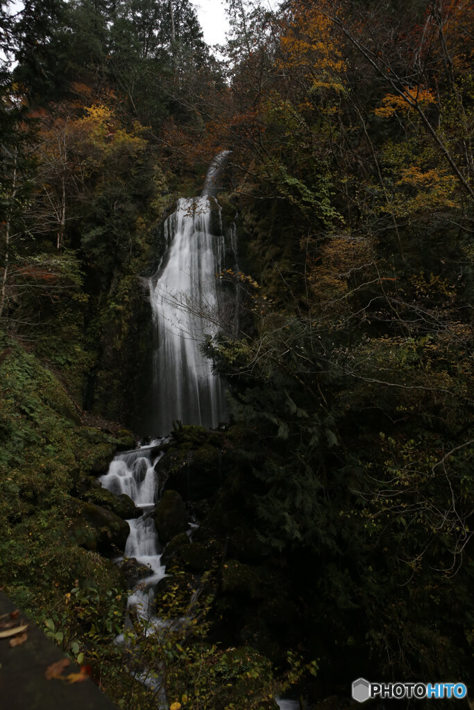 撮って出し(2025-11-07_13-00)-(Canon EOS 6D-24