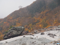 撮って出し-E-M5-90.0-23_10_16_PA165752-0