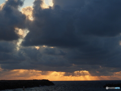 撮って出し-E-M5-54.0-23_08_28_P8284591-0